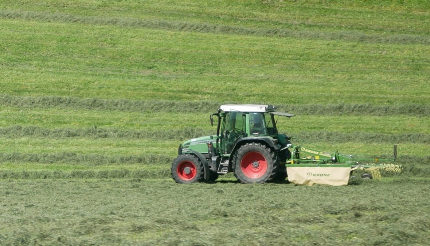 feld_schindlauer feld_schindlauer